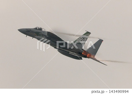 F-15戦闘機(アグレッサー部隊) F-15戦闘機(アグレッサー部隊) 143490994