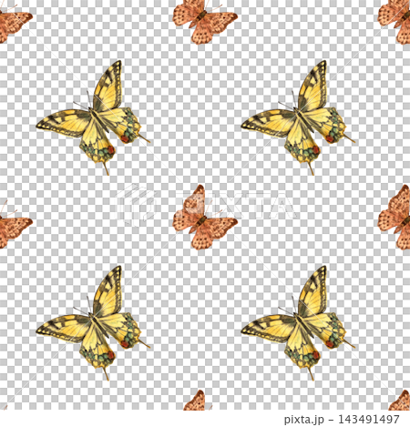 Seamless watercolor pattern with large yellow and small orange butterflies on a white background, natural decorative design for fabric, wallpaper, stationery and packaging Seamless watercolor pattern with large yellow and small orange butterflies on a white background, natural decorative design for fabric, wallpaper, stationery and packaging 143491497