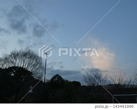 晴れた日の公園 晴れた日の公園 143491890