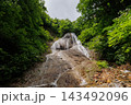 青森県田子町・みろくの滝｜新緑に包まれる初夏の滝風景 143492096