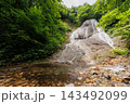 青森県田子町のみろくの滝｜新緑の森と滝へ続く仮設通路 143492099