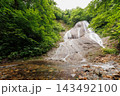 初夏のみろくの滝｜小川と新緑が広がる青森県田子町の自然 143492100