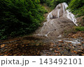 青森県田子町・みろくの滝｜新緑に包まれる初夏の滝風景 143492101