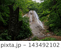 みろくの滝（弥勒の滝）｜青森県田子町の新緑と清流 143492102