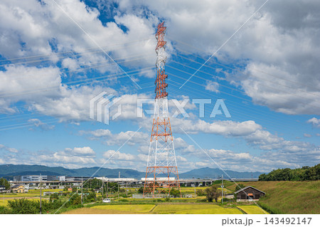 秋の田園風景 田んぼの中に立つ鉄塔 京都府京田辺市 秋の田園風景 田んぼの中に立つ鉄塔 京都府京田辺市 143492147