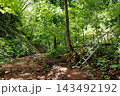 森県田子町のみろくの滝｜滝へ続く散策路と仮設足場 143492192