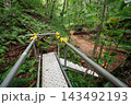 青森県田子町のみろくの滝｜滝へ続く散策路と仮設足場 143492193