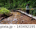 青森県田子町のみろくの滝｜滝へ続く散策路と仮設足場 143492195