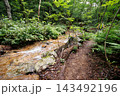 スヌーピーの滝として知られるみろくの滝｜散策路と初夏の自然 143492196