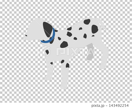 等距插圖：站立的達爾馬提亞犬 143492254