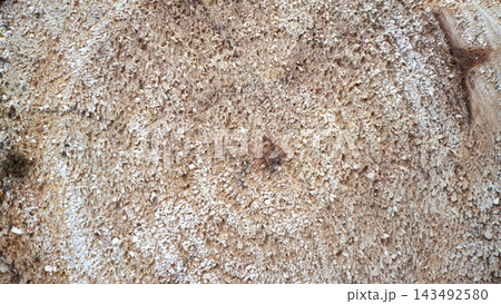Rough concrete wall surface with gritty aggregate texture, small pebbles, and uneven plaster finish in warm beige and light gray tones for design backgrounds Rough concrete wall surface with gritty aggregate texture, small pebbles, and uneven plaster finish in warm beige and light gray tones for design backgrounds 143492580