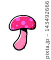 きのこ 143492666