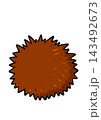 毬栗 143492673