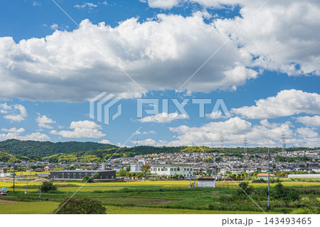 木津川堤防上からの京田辺市街の眺め 京都府京田辺市 木津川堤防上からの京田辺市街の眺め 京都府京田辺市 143493465