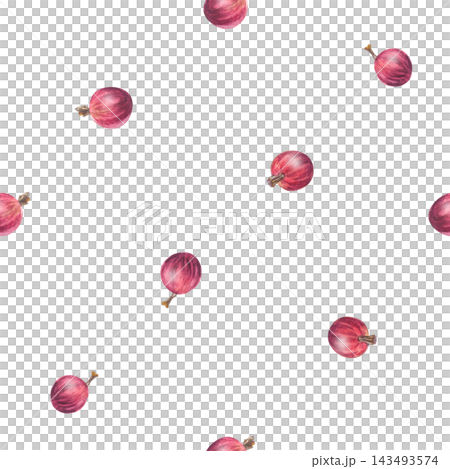 Seamless watercolor red gooseberry pattern background with scattered ripe berries. Isolated repeating botanical floral texture element for sweet food packaging art Seamless watercolor red gooseberry pattern background with scattered ripe berries. Isolated repeating botanical floral texture element for sweet food packaging art 143493574