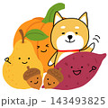 秋野菜、フルーツ、どんぐりと一緒に手を振るしばいぬ 143493825