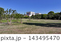 上海の緑の公園と近代的な博物館の空撮 143495470