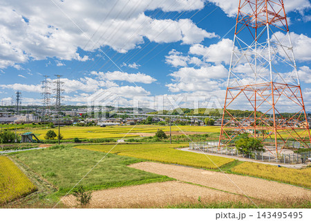 秋の田園風景　京都府京田辺市 143495495