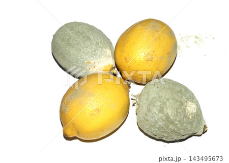 A mouldy ruined lemon fruit on white background A mouldy ruined lemon fruit on white background 143495673