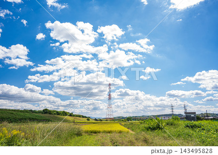 秋の田園風景　京都府京田辺市 143495828