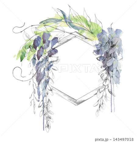 Cascading wisteria vine, laburnum flower clusters, leaves on geometric wooden hexagon in soft watercolor loose shades. Pencil hand drawn artwork. Boutique labels, wedding stationery, decorative prints 143497018
