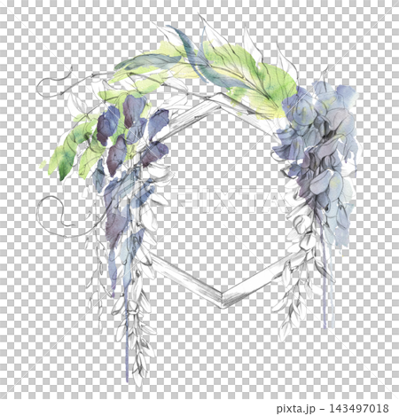 Cascading wisteria vine, laburnum flower clusters, leaves on geometric wooden hexagon in soft watercolor loose shades. Pencil hand drawn artwork. Boutique labels, wedding stationery, decorative prints 143497018