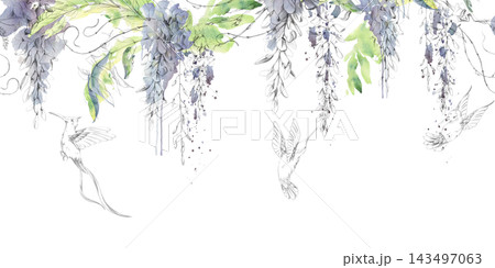 Locust, wisteria flower clusters with hovering hummingbirds in soft watercolor tones with pencil detailing. Botanical seamless banner for branding, book covers, decorative paper goods and home decor. 143497063