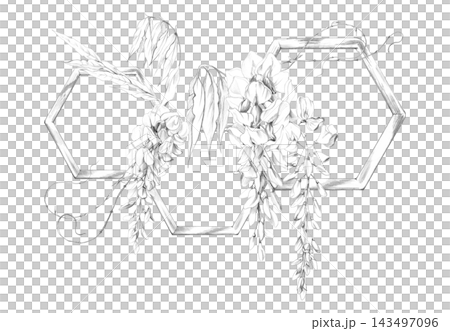 Wisteria, laburnum, locust tree vine. Flower clusters, leaves and tendril shoots, geometric wooden hexagon. Pencil hand drawn illustration. Garden event materials, artisan branding, gift certificates 143497096