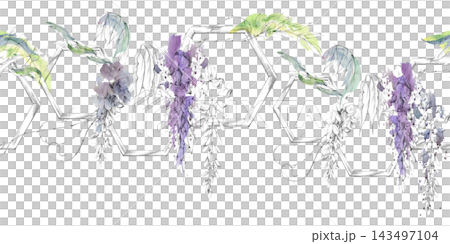 Hexagon trellis elements, wisteria flowers, leaves and vine growth. Seamless banner hand drawn in graphite and loose watercolor splashes. Craft branding, invitation suites, logos, packaging accents. Hexagon trellis elements, wisteria flowers, leaves and vine growth. Seamless banner hand drawn in graphite and loose watercolor splashes. Craft branding, invitation suites, logos, packaging accents. 143497104