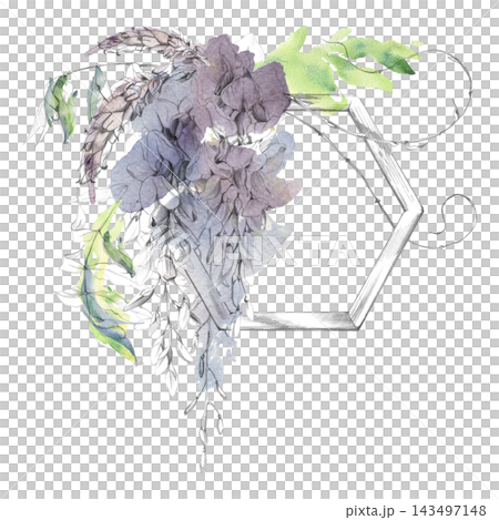 Wisteria flowers, sprouts and leaves on wooden hexagon trellis frame, botanical composition. Hand drawn illustration in pencil and watercolor. Logo design, artisan branding, packaging, invitations. Wisteria flowers, sprouts and leaves on wooden hexagon trellis frame, botanical composition. Hand drawn illustration in pencil and watercolor. Logo design, artisan branding, packaging, invitations. 143497148