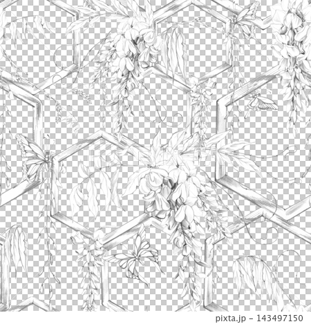 Seamless pattern of flowering wisteria climbing on outdoor wooden hexagon trellis frames, botanical repeat. Hand drawn illustration in graphite pencil. Wallpaper, textiles, wrapping paper, packaging. Seamless pattern of flowering wisteria climbing on outdoor wooden hexagon trellis frames, botanical repeat. Hand drawn illustration in graphite pencil. Wallpaper, textiles, wrapping paper, packaging. 143497150