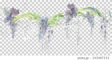 Graceful wisteria branches with hanging flowers, leaves and winding shoots hand drawn in pencil and watercolor. Seamless banner for garden wedding brochures, decorative labels, lifestyle publications. Graceful wisteria branches with hanging flowers, leaves and winding shoots hand drawn in pencil and watercolor. Seamless banner for garden wedding brochures, decorative labels, lifestyle publications. 143497153