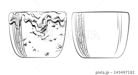 Glazed ceramic planter with light catching reflections, shaded texture, paired clean silhouette. Isolated hand drawn vector ink artwork. Suitable for botanical styling themes, modern shop promotions. 143497182