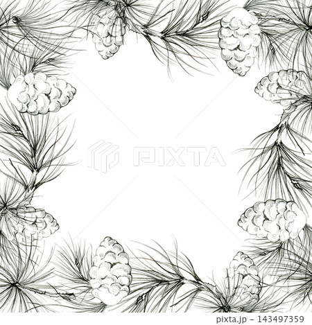 Vintage pine cone ornaments in conifer tree needles, fir, spruce branches botanical illustration hand drawn in pencil, realistic shading. Advent materials, decorative labels, nature craft templates. Vintage pine cone ornaments in conifer tree needles, fir, spruce branches botanical illustration hand drawn in pencil, realistic shading. Advent materials, decorative labels, nature craft templates. 143497359