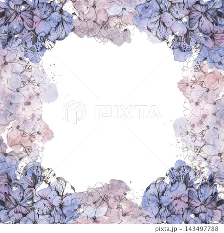 Pastel hydrangea flowers, elderberry florets with loose watercolor washes and delicate pencil sketch lines. Hand drawn botanical art for romantic border frames, invitation edges, stationery design. 143497788