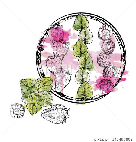 Berry smoothie bowl with raspberry, sliced strawberry and mint leaves stripes. Isolated ink illustration hand drawn in watercolor. Dessert menu cards, berry festival posters, fruit marketing visuals Berry smoothie bowl with raspberry, sliced strawberry and mint leaves stripes. Isolated ink illustration hand drawn in watercolor. Dessert menu cards, berry festival posters, fruit marketing visuals 143497808