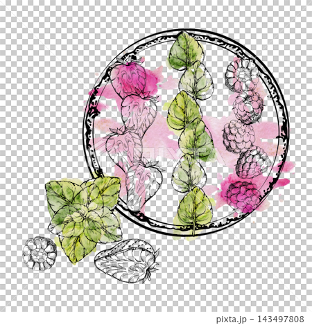 Berry smoothie bowl with raspberry, sliced strawberry and mint leaves stripes. Isolated ink illustration hand drawn in watercolor. Dessert menu cards, berry festival posters, fruit marketing visuals Berry smoothie bowl with raspberry, sliced strawberry and mint leaves stripes. Isolated ink illustration hand drawn in watercolor. Dessert menu cards, berry festival posters, fruit marketing visuals 143497808