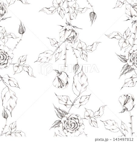 Stripes of romantic rose blossoms, buds and leaves hand drawn in delicate pencil outlines. Seamless pattern illustration for Valentine stationery, fabric prints, gift wrap, handmade craft packaging. Stripes of romantic rose blossoms, buds and leaves hand drawn in delicate pencil outlines. Seamless pattern illustration for Valentine stationery, fabric prints, gift wrap, handmade craft packaging. 143497812