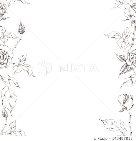 Vintage rose, gardenia flowers, lisianthus buds, camellia leaves hand drawn in pencil, charcoal soft shading. Decorative floral banner for Valentine cards, wedding websites, romantic blog graphics. Vintage rose, gardenia flowers, lisianthus buds, camellia leaves hand drawn in pencil, charcoal soft shading. Decorative floral banner for Valentine cards, wedding websites, romantic blog graphics. 143497815