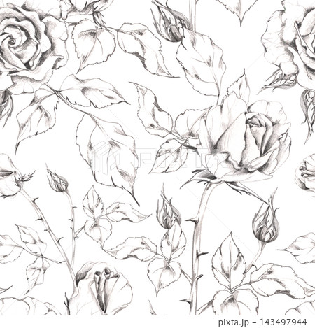 Vintage rose flowers, buds, leaves on straight stems with thorns, spikes. Seamless pattern illustration hand drawn in fine pencil sketch linework for fabric design, textile wallpaper, wrapping paper Vintage rose flowers, buds, leaves on straight stems with thorns, spikes. Seamless pattern illustration hand drawn in fine pencil sketch linework for fabric design, textile wallpaper, wrapping paper 143497944