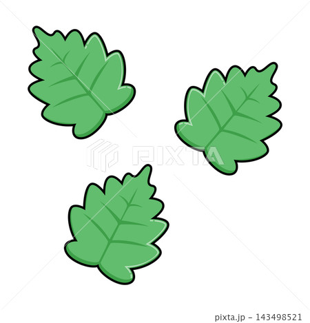 Cartoon Leaves Flat Design on White Background Cartoon Leaves Flat Design on White Background 143498521