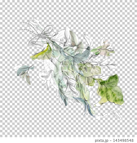 Herb bundle with twine bow, fresh and dried culinary aromatic plants and harvested garden seasonings, rustic handmade appearance. Isolated hand drawn pencil and watercolor illustration craft tutorials Herb bundle with twine bow, fresh and dried culinary aromatic plants and harvested garden seasonings, rustic handmade appearance. Isolated hand drawn pencil and watercolor illustration craft tutorials 143498548
