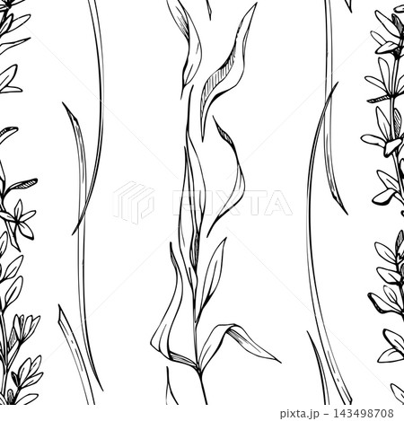 Tarragon, chives and lemongrass fragrant culinary herbs. Slender leaves, fresh foliage. Aromatic seasoning plants stripes. Isolated vector ink hand drawn seamless pattern. Tote bags, kitchen textiles 143498708