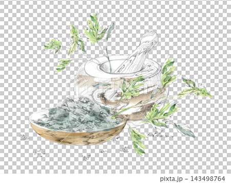 Rustic mortar, pestle and mixture dried plants, fresh parsley, celery leaves plant seasonings. Isolated hand drawn pencil, watercolor illustration. Herbal workshops, natural living, craft projects Rustic mortar, pestle and mixture dried plants, fresh parsley, celery leaves plant seasonings. Isolated hand drawn pencil, watercolor illustration. Herbal workshops, natural living, craft projects 143498764