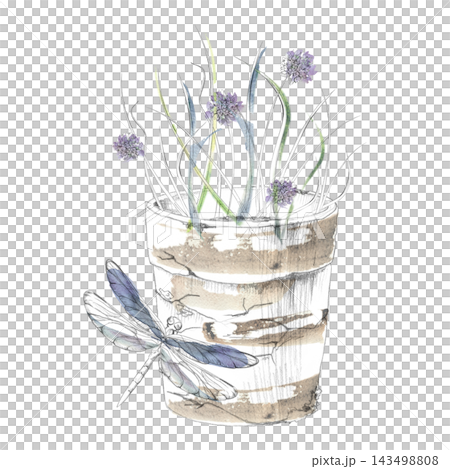 Dragonfly on potted chives, allium herbs fresh edible plants, seasoning crops kitchen garden. Isolated hand drawn pencil and watercolor illustration. Cooking education, food culture, culinary events Dragonfly on potted chives, allium herbs fresh edible plants, seasoning crops kitchen garden. Isolated hand drawn pencil and watercolor illustration. Cooking education, food culture, culinary events 143498808