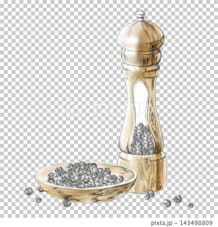 Pepper mill grinder, black peppercorns aromatic seasoning in rustic wooden bowl. Isolated hand drawn pencil and watercolor illustration. Cooking guides, spice references, recipe books, food culture. Pepper mill grinder, black peppercorns aromatic seasoning in rustic wooden bowl. Isolated hand drawn pencil and watercolor illustration. Cooking guides, spice references, recipe books, food culture. 143498809
