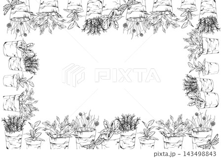 Terracotta flower pots of fragrant Mediterranean kitchen herbs. Basil, marjoram, oregano, sage and rosemary edible garden plants and lush aromatic foliage. Isolated hand drawn vector ink frame. 143498843