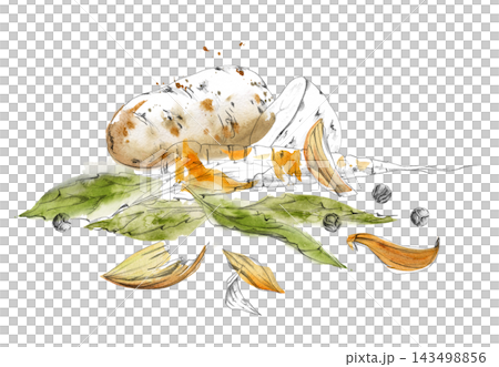 Soup, stew winter mix. Potato, carrot tubers, bay laurel leaves, onion peels, peppercorns. Fresh produce aromatic spices, vegetables, leafy greens, roots. Hand drawn pencil and watercolor illustration 143498856