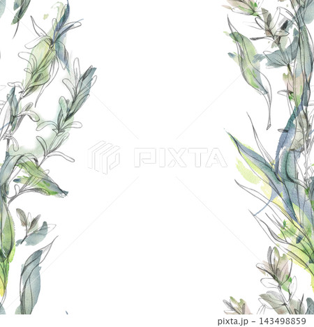 Tarragon, thyme Mediterranean herbs, savory and purslane medicinal plants, edible garden species with fragrant leaves. Isolated hand drawn pencil and watercolor seamless banner. Food, drinks packaging Tarragon, thyme Mediterranean herbs, savory and purslane medicinal plants, edible garden species with fragrant leaves. Isolated hand drawn pencil and watercolor seamless banner. Food, drinks packaging 143498859