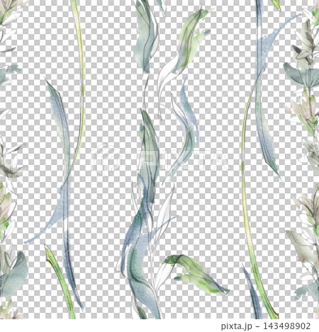 Stripes of tarragon, chives and lemongrass blades Mediterranean herbs, edible garden plants, aromatic ingredients with slender leaves. Isolated pencil and watercolor hand drawn seamless pattern tile. Stripes of tarragon, chives and lemongrass blades Mediterranean herbs, edible garden plants, aromatic ingredients with slender leaves. Isolated pencil and watercolor hand drawn seamless pattern tile. 143498902